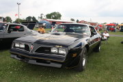 FIREBIRD